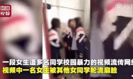 孩子打架爆料视频播放,孩子打架视频引发社会关注